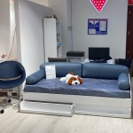 Подушки для диван-кровати (синие) Cilek - фото в интерьере